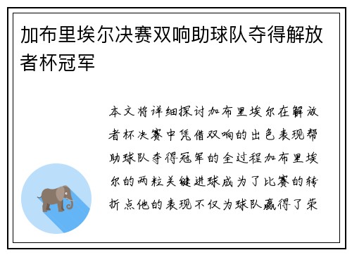 加布里埃尔决赛双响助球队夺得解放者杯冠军