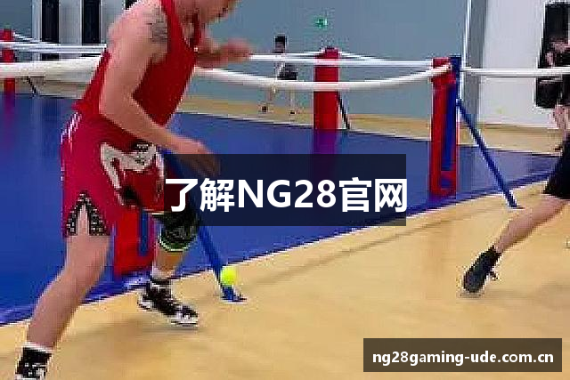 了解NG28官网